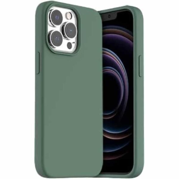 Araree  iPhone 13 PRO MAX 6.7 TYPOSKIN Silicone Cover Pine Green